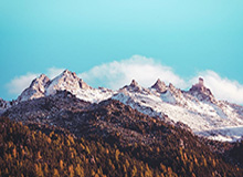 小角度破门，昆滕-廷伯打入荷兰国家队生涯首球