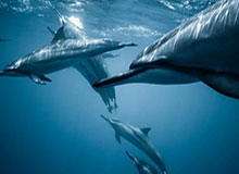 云开体育app登录入口——开启你的极致体育体验